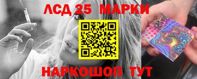 гидропоника Можайск