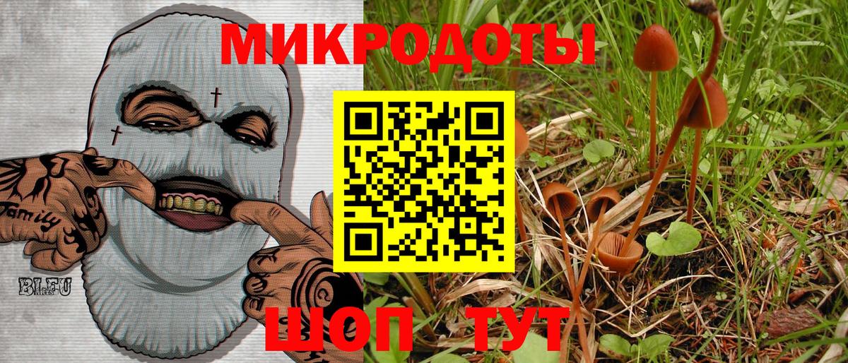 Тайшет  Псилоцибиновые грибы Magic Shrooms  Вход с VPN 